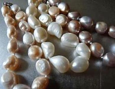 Difference between Fresh Water and Salt Water Pearls