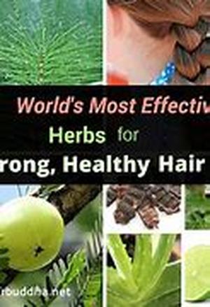 What Causes Womens Hair Loss