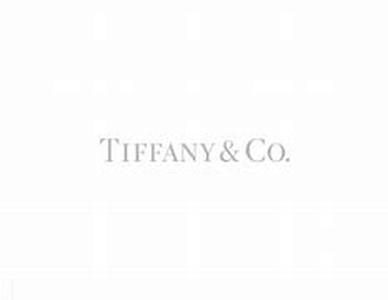 Tips For Buying An Expensive Diamond Wedding Ring