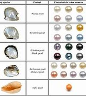 All About Jewelry