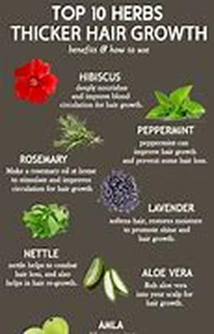 Herbal DHT Blocker