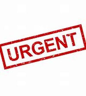 Urgent Requirements