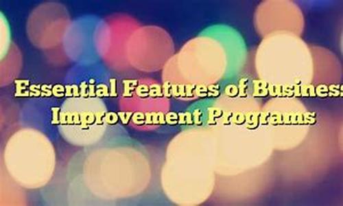 Important Features of Business Improvement Programs