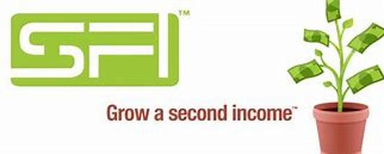 How to Make Money Fast by Offering Useful Online Software