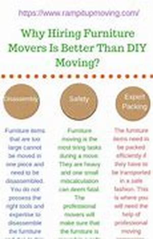 What are all the services movers provide
