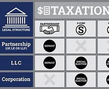 Business Entity Options