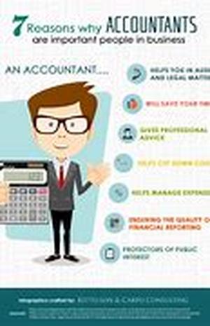 Accounting Professionals:  Are They Necessary