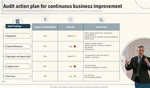 Continuous Improvement of Business Audits