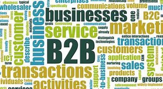 Full text article on business services franchises and the B2B market