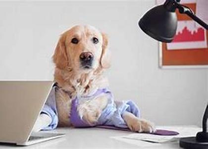 Is It Time to Call an IT Expert