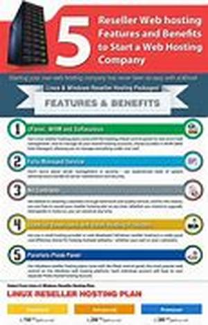 Business Web Hosting - The Reliability Difference