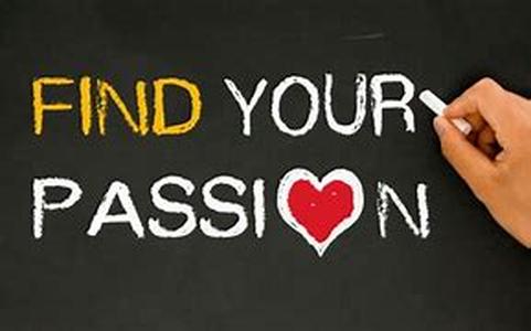 Discover Your Online Business Potential and Earn Direct Daily Payments
