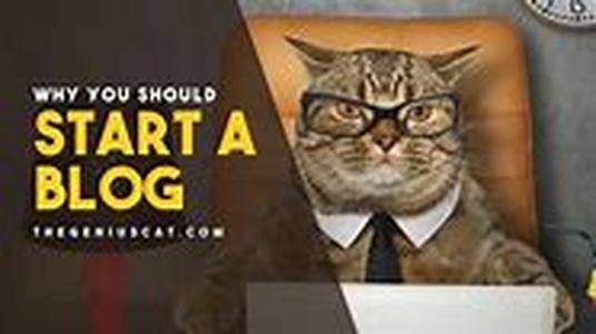 Why you should start an internet business