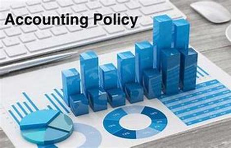 Accounting Police:  Do They Exist