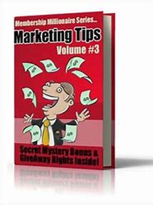 Millionaire Marketing in 3 Small Steps