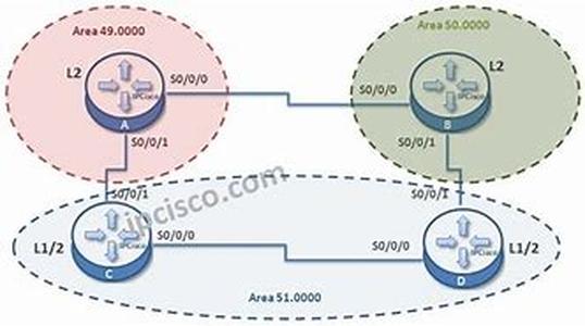 Cisco CCNP  BCMSN Exam Tutorial:  Switches, QoS, And Cisco's Networking Model