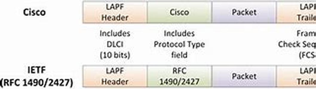 Cisco CCNA  CCNP Certification Exam Review:  Protocol Basics
