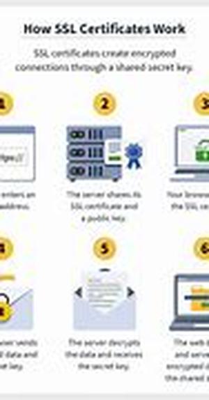 SQL Server 2000 Data Types