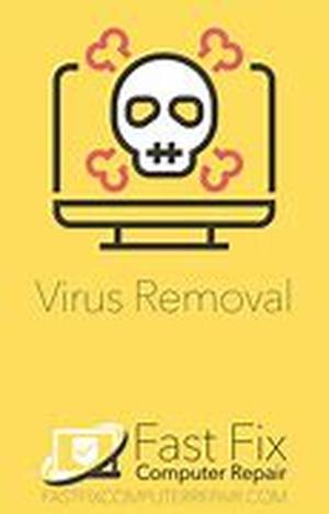 Computer Viruses - The Real And Present Danger
