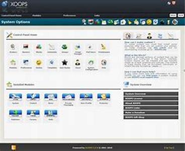 Using professional icons for a better communication between user and application interface