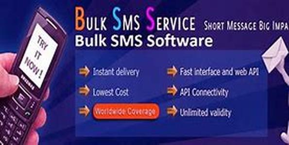 Build A Do It Yourself Website Using Internet Software