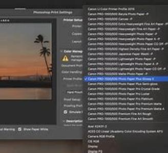 Tips For Choosing Typing Software