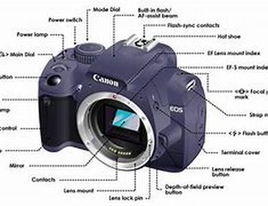 Digital Projectors Basics  Originally, projectors only made use of slides and transparencies