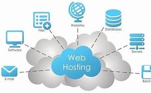 Web Hosting Options For Online Business