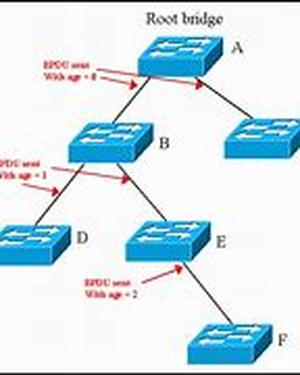 Cisco CCNP  BCMSN Exam Tutorial: Multicasting And The RPF Check