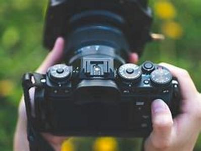 What to Look for in a Web Hosting Provider