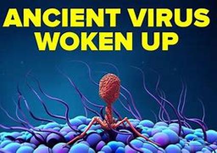 Protecting Your Computer From Viruses, Spyware, And Other Security Threats