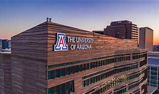 What is the best online MBA program for me
