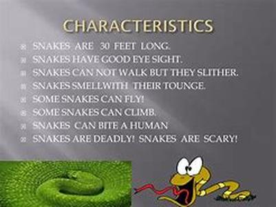 Traits of the Element Metal
