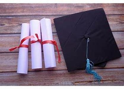 A Great Career Path In Bioengineering