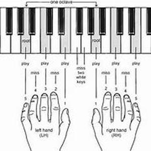 Learn Bass Guitar Playing