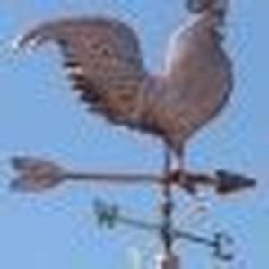The Reason For The Popularity Of PHP And Mysql