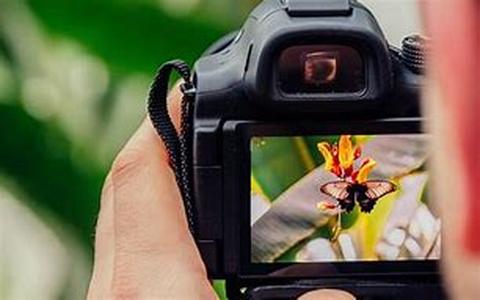 Digital Cameras  10 Tips To Get Great Pictures