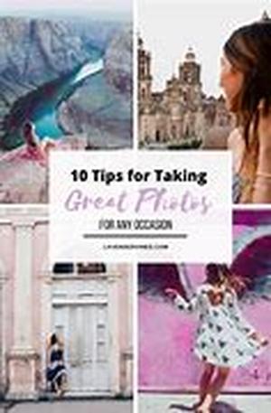Tips For Pet Portraits