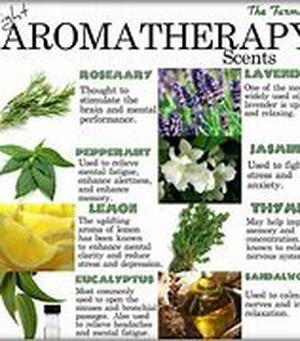Aromatherapy Homedics Lamp