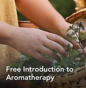 Aromatherapy Candle Making
