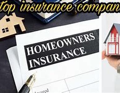 What Is Vehicle Insurance