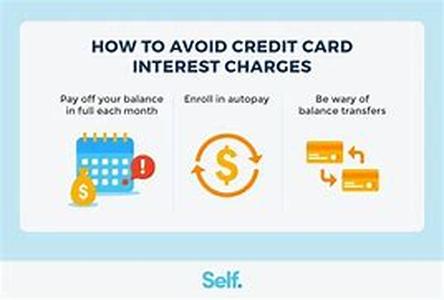 Credit Card Basics - Understanding Five Main Credit Card Terms