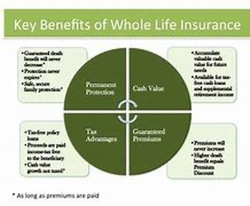 Who Should Be The Beneficiary Of Your IRA