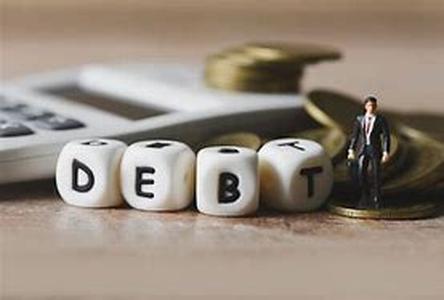 Debt Settlement Facts