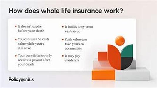 Wholesale Distribution: Make Money With The Best Business in the World