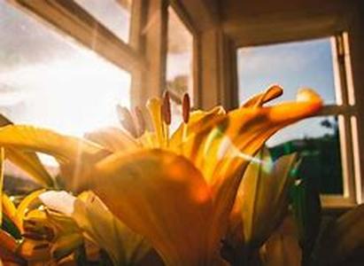 Temporary Secretarial Job  Searching for that perfect job can turn out to be a long journey of flitting from one company to another and a rather stressful affair especially if you find yourself in between jobs and running low on cash
