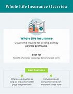 Learn More About Debt Management So That You Can Finally Gain The Financial Freedom You Deserve