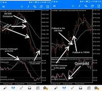 Forex For The Future