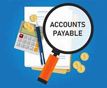 Accounting Principles  Standards:  Avoid Them At Your Peril