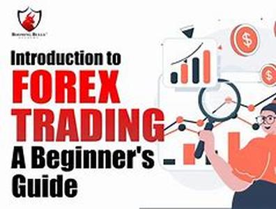 Forex Trading Course Primer